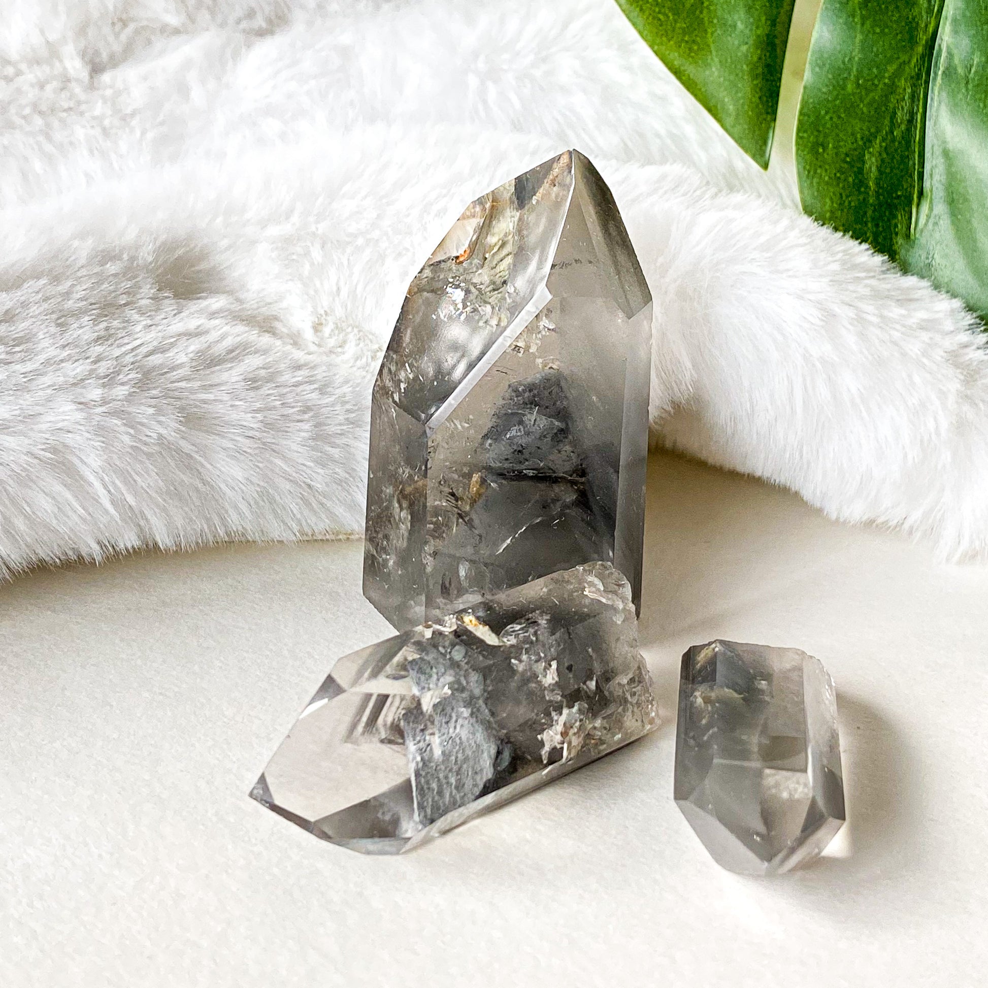 Phantom Quartz trio