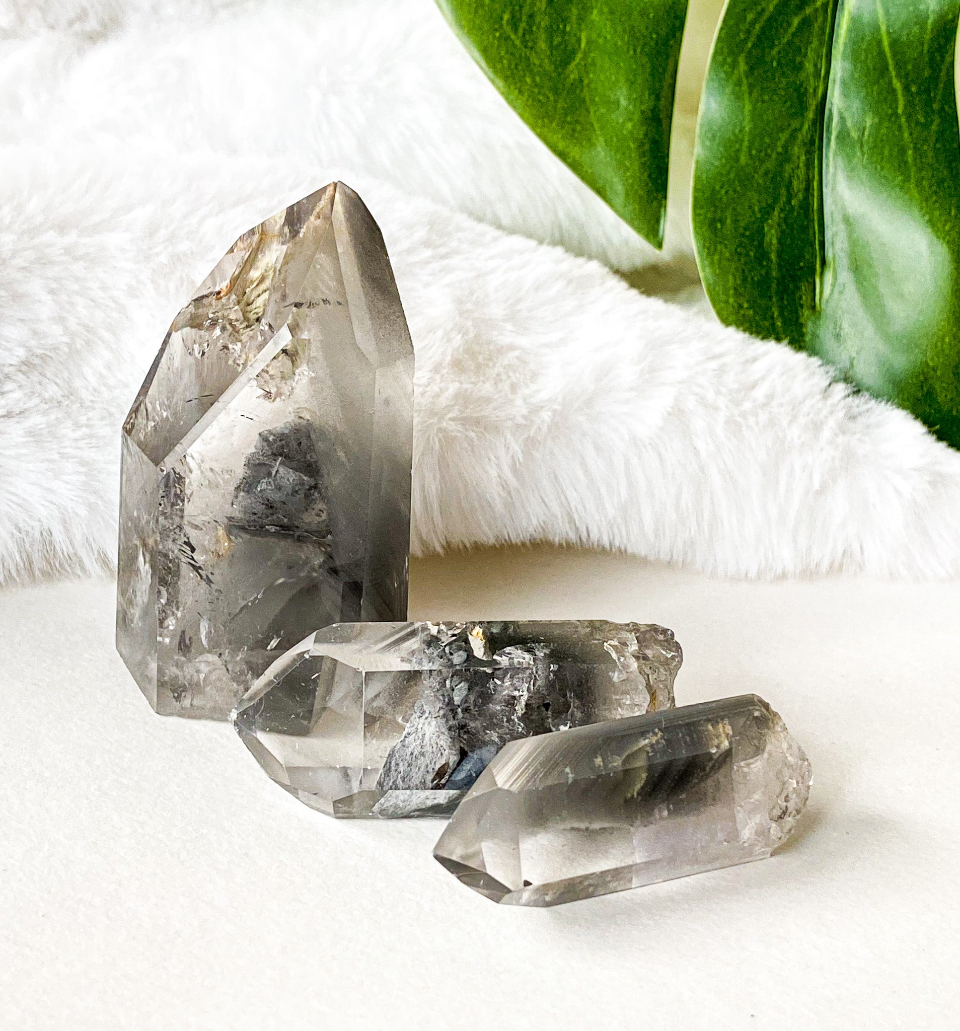 Phantom Quartz 